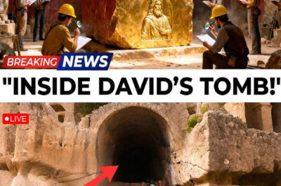 King David’s Tomb Was OPENED… What Happened Next SHOCKED Everyone!