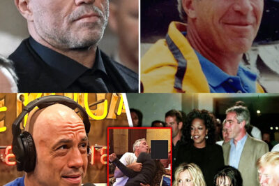 Joe Rogan REVEALS EVERY Celebrity Found in Epstein Files in 30 Minutes