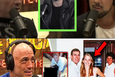 Joe Rogan Exposes Details on What Prince Andrew Did for Epstein