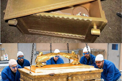Jerusalem’s Dark Secret: Has the Ark of the Covenant Been Found? 🔪🗝️