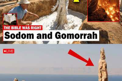 They FINALLY Found Sodom and Gomorrah—and What Archaeologists Discovered Was TERRIFYING!