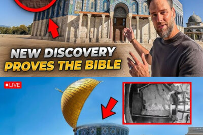 What They FOUND Under the Dome of the Rock CONFIRMS the Bible!