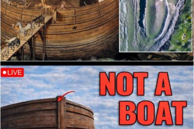 Noah’s Ark Was NOT a Boat… The Bible Never Said It Was!