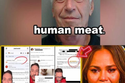 😳EPSTEIN JERKY? Find Out What Epstein’s Chef Made “JERKY” Out Of, After Epstein File Release