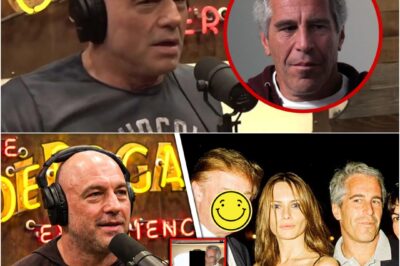 Joe Rogan EXPOSES ALL Celebrities NAMED in Epstein Files in Just 30 Minutes