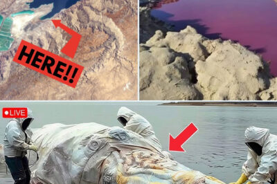 A TERRIFYING INCIDENT in the Jordan River! PROPHECY Coming True?