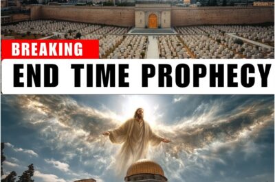 Is Jesus About to RETURN? Mount of Olives Cemetery EXPANDS Toward the Eastern Gate