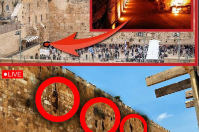 WARNING NOW : God’s Holy Name Appears on the Eastern Wall of Jerusalem Beside the Golden Gate!