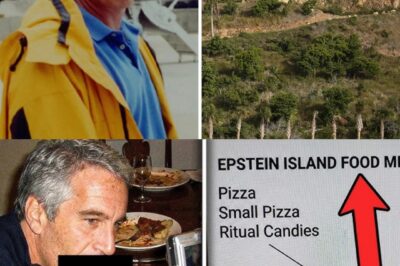 Investigator THR3W UP After Knowing The FOOD MENU Found On Epstein Island