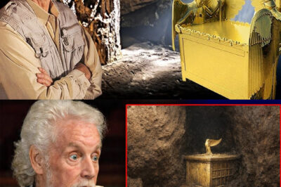 Before He Died, Ron Wyatt Revealed The Terrifying Truth About the Ark of Covenant!
