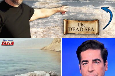 End Times Bible Prophecy About the Dead Sea Is Coming True, Leaving Christians in Awe!