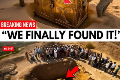 Archaeologist Uncovers STUNNING Finds in Ancient Shiloh, Where the Ark and Tabernacle Once Stood!