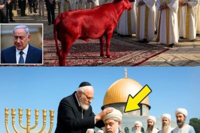 Israel’s High Priest Is READY… Daniel’s End-Time PROPHECY Has Started!