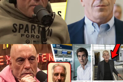 Joe Rogan Exposes NEW LIST of Celebs on RUN After Epstein File Release