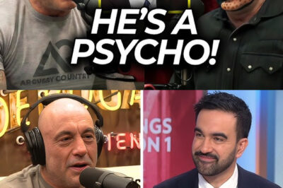 Joe Rogan Notices Something in Zohran’s Plan That No One Else Noticed