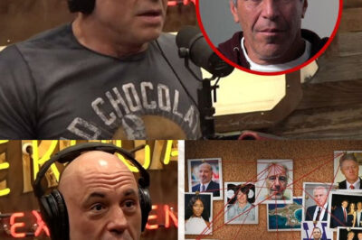 Joe Rogan Leaked NEW LIST Of Celebs On Run After Epstein | 50 Cent Was Scared To Say