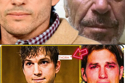 Ashton Kutcher’s charity THORN is far WORSE then we THOUGHT, After Epstein Files Release!
